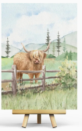 Penpaling Paula  - Schotse hooglander