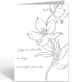 Memoria Collection  - Liefs en sterkte