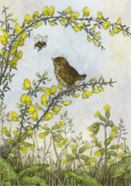 Molly Brett  - Hommel en vogel