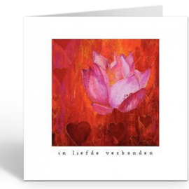 Boa Editions  - In liefde verbonden