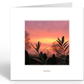 Boa Editions  - Sterkte