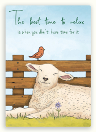 Schapen