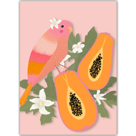 Toni Starck  - Papayabird