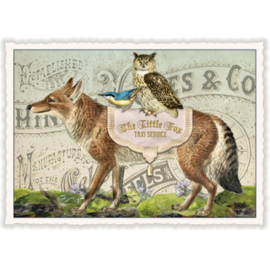 Debrina Pratt - The little fox taxi service