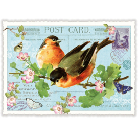 Edition Tausendschön  - Vogels