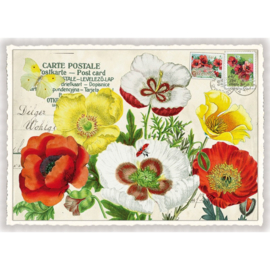 Barbara Behr - Bloemen