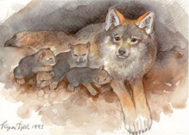 Ingvar Björk  - Wolven