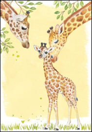 Carola Pabst  - Baby Giraffe