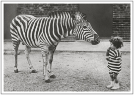 Mauritius  - Zebra en kind