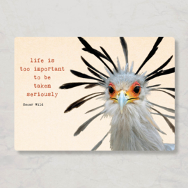 ZintenZ - Life is too important to be taken seriously