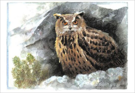 Ingvar Björk  - Berguil