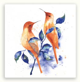 Isabella Illustrations  - Vogels