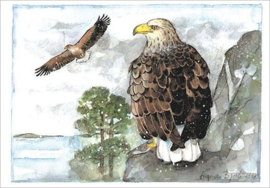 Ingvar Björk  - Roofvogel