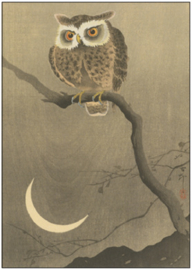 Ohara Koson  - Uil