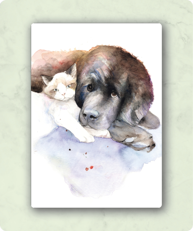 Veer Illustratie  - Hond en Kat