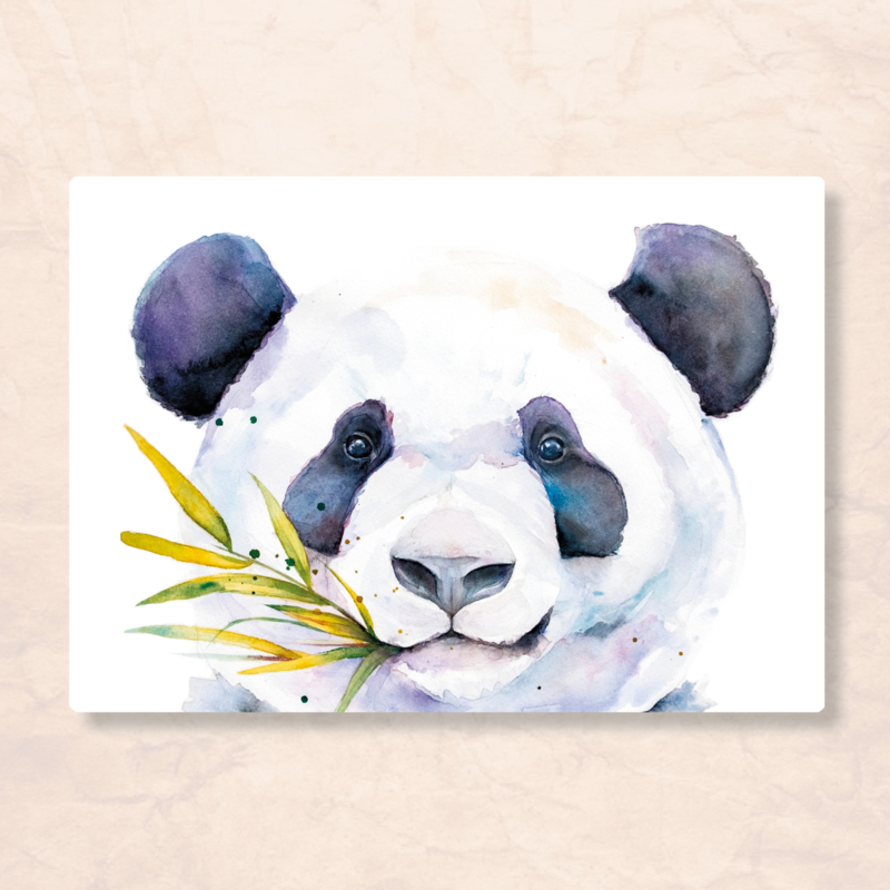 Veer Illustratie - Panda