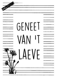 Geneet van 't laeve