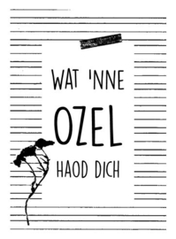 Wat 'nne ozel! Haod dich!