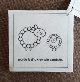 Schaap voorleesboekje
