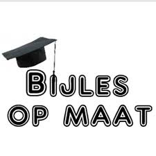 Privèlessen op maat