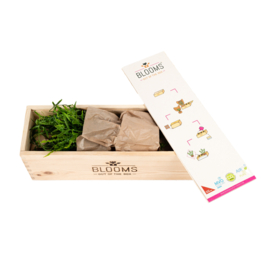 BloomsBox met verse theekruiden