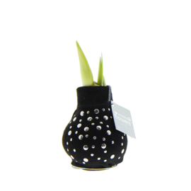 No Water Flowers – Fashionz Streetlife