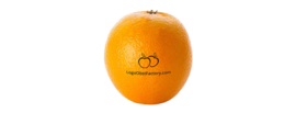 Sinaasappel Met Eigen Logo