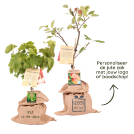 Groen pasen