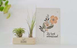 Luchtplantjes met de post