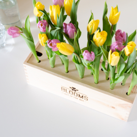 BloomsBox met tulpen