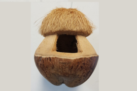 Kokosnoot Vogelhuisje