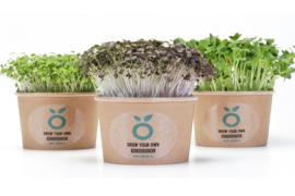 GROWN CRESS, KWEEK CUP