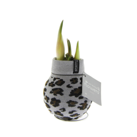 No Water Flowers – Fashionz Animal