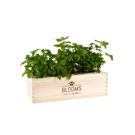 BloomsBox met verse theekruiden