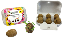Seedeggs