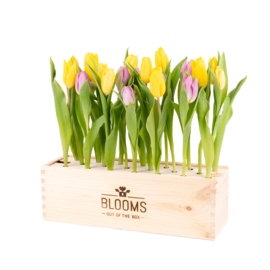 BloomsBox met tulpen