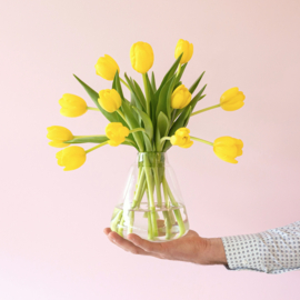 Gele tulpen door de bus