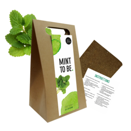 Giftbox met zaden, mint to be