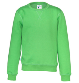 Crew Neck Gemaakt Van Organische Katoen, Groen