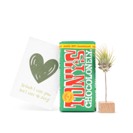 Dag van de Zorg Tony & luchtplantje