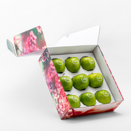 Geschenkverpakking Met 9 Appels