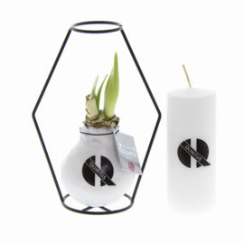 No Water Flowers – Formz with candle