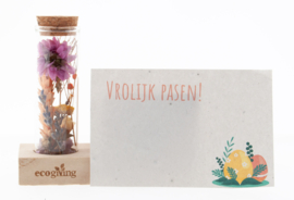 Droogbloemen Door De Bus