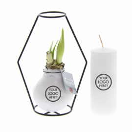 No Water Flowers – Formz with candle