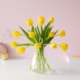 Gele tulpen door de bus