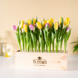 BloomsBox met tulpen