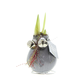 No Water Flowers – Waxz Jingle Bellz