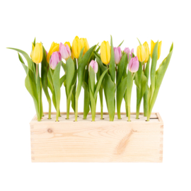 BloomsBox met tulpen