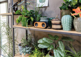 Bamboo X dubbele speaker, zwart