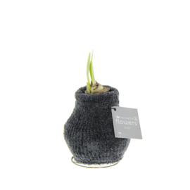 No Water Flowers – Fashionz Cozy Fluffy